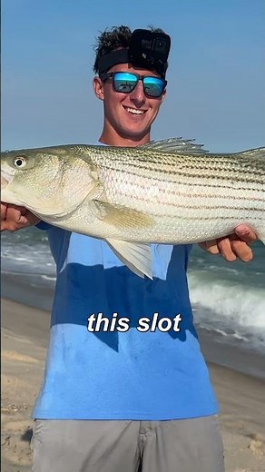 Catch and Cook Surf Striped Bass!