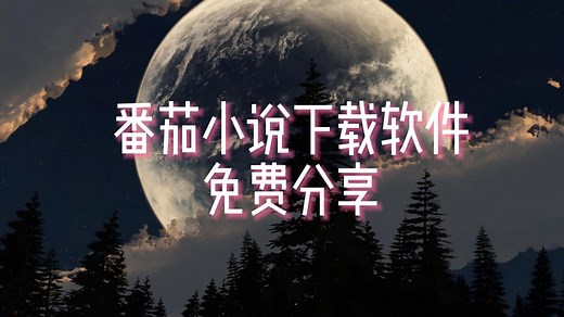 番茄小说免费下载txt软件使用教程