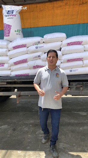 Ferlizantes edáficos para tu cultivo de maíz y obtener exelentes resultados en la producción #agronomia #campoargentino🌱🌾🌻🐮🐂 #cultivo #camp #ecuador @Yara Ecuador