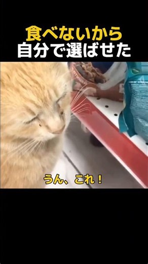 直接選ばせるの斬新w