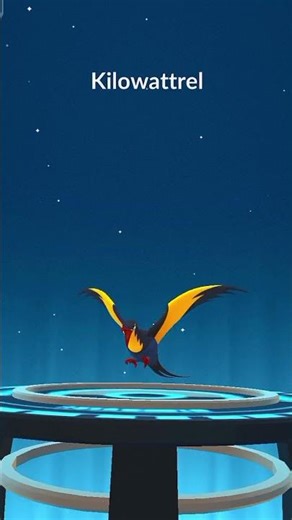 finally I got wa****l in Pokemon go #poke_shorts #pokemongo #shorts