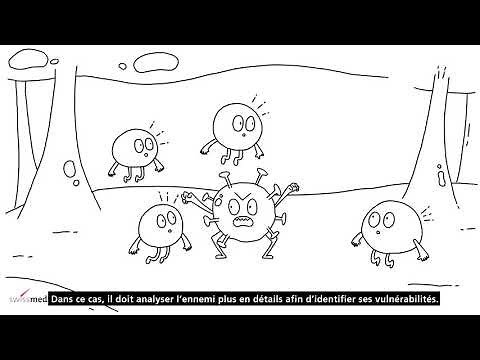 Comment et pourquoi les vaccins agissent-ils dans l’organisme ?
