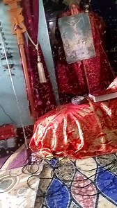 Information Science and Technology on Reels