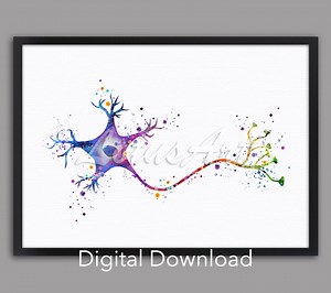Neuron Watercolor Print: Brain Cell Anatomy Art (digital Download) - Etsy