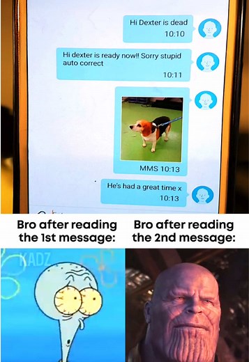 Hilarious Typo Fails Compilation