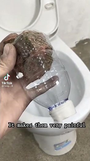 many friends are often constipated so i inveted this toilet, the design is very human (@hmg....4)