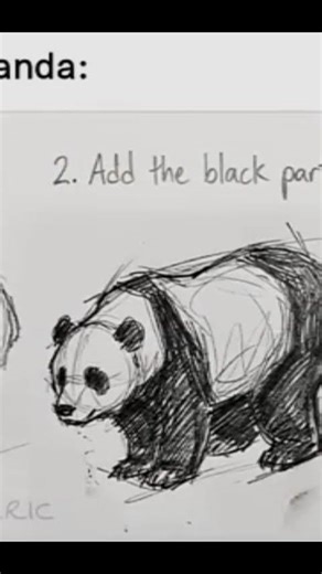 how to draw panda 🐼