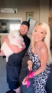 We are ON to you, little miss Daisy Dukes! 😆🐽 #funnyanimals #pigsaspets #wholesomecontent #PetsofFacebook #animallover | The Tinsley Herd