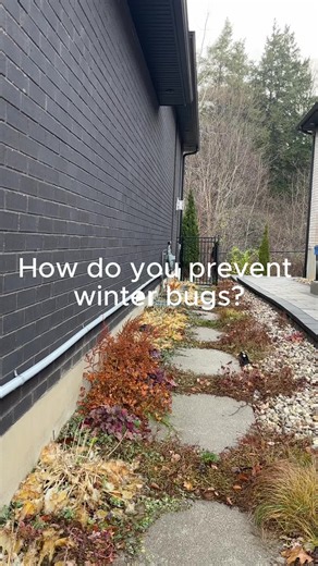 How to Prevent Overwintering Bugs from Entering Your Home