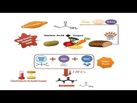 Acrylamide Risk in Food_ Food Safety Tips