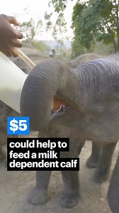 84K views · 19 reactions | Bringing home a new baby is no easy...