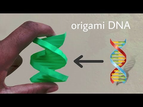 Origami DNA
