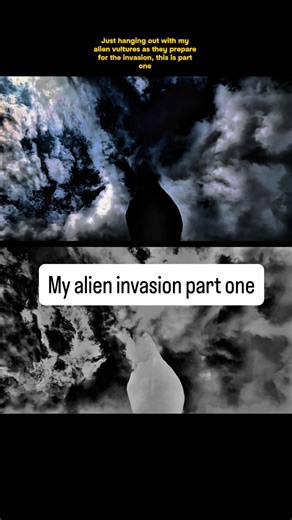 Brian Ladd on Instagram: "My alien invasion part one getting ready for the invasion with my vultures. Just hanging out with my vultures as they get ready for the alien invasion. This is part one. The landing place will be in Jensen Beach Florida. I don’t know the date or time yet. I have shown you that plenty of times follow me for more. For over two years, my wife and I have been documenting a UFO and alien activity in St. Lucie County Florida. We live in Port St. Lucie and above us is a in ver