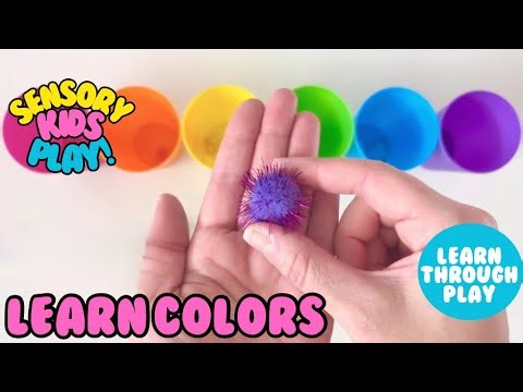 Color Sorting and Patterns for Toddlers and Kids!