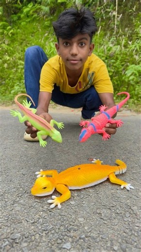 Two Leopard Gecko Remote Control Dese Ebar Unboxing🔥