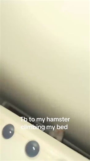 bands on Instagram: "Off a phone 📲 (link in bio to learn) • • • #fyp#wifirich#erich#emoney#moneyspreadexplorepagemoneyupwifiupwifiwealthmotionwifimoneyemoneywealthbanksmoneyup"