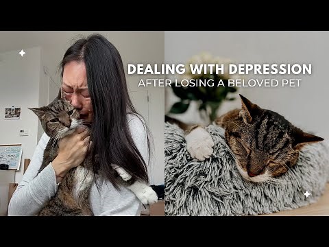 Depression After The Loss Of A Pet | Ways To Cope With Grief | Rainbow Bridge | My Story of Pet Loss