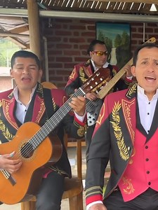 Amor incomparable #musica #pasillo | Los Sentimentales Del Ecuador