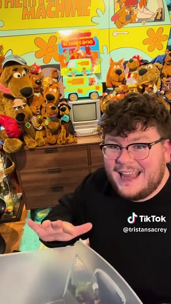 Reorganizing the Scooby Room: A Year Later