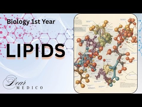 Lipids A to Z|Biological Molecules FSC part1|NEET|MDCAT