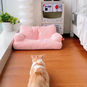 This amazing Cat Bed is perfect for your pets during the cold winter months. The plush material is soft and comfortable, and the bright colors are sure to brighten up dreary days. The sofa shape is perfect for your pet to have a rest. | The Apollo Box