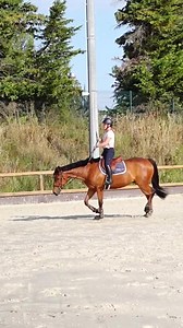 Retrouvez le programme complet ⤵️ https://sio.terredesportequestre.com/le-defi #cheval #horse #equitation | Terre de Sport Equestre