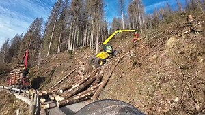 117K views · 1.3K reactions |  Logging  | Harvester Forwarder & More | Facebook