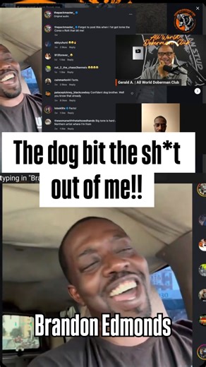 European Doberman Stud on Instagram: "A dog bite shocking moment were the dog show dominance and not fear. Guest Brandon Edmonds Guest @thepackmaster_"