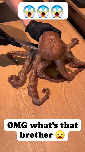 490K views · 1.2K reactions | Live Octopus Preparation  Expert Head Cutting Technique  #LiveOctopus #OctopusPreparation #SeafoodSkills #ProKnifeWork #FreshSeafood #OceanDelicacy #SeafoodLovers #FBTrending #USAFoodies #CulinarySkills | Seafood Heaven | Facebook