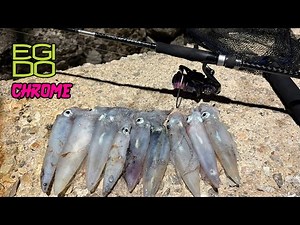 Καλαμάρια 🦑 στον λιμενοβραχίονα με Egido Chrome🔝