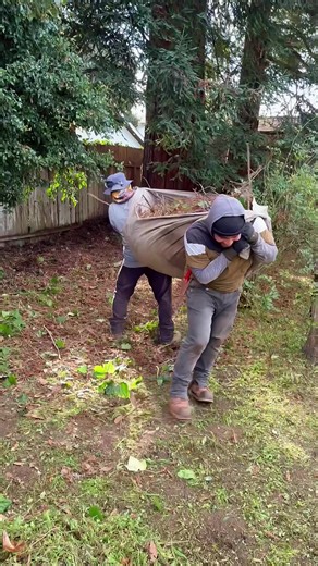 Makuin (@losmacuinesdecalifornia)’s videos with sonido original - Chumpe100🇸🇻🦃🦃💚