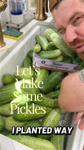 How to Make Homemade Pickles From Scratch | Easy Crunchy Dill Pickle Recipe