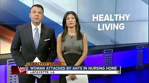 An elderly Lousiana woman was recently eaten alive by ants at a nursing home. WARNING: Images are graphic. STORY: http://on.ktnv.com/2c8YhTu | KTNV Channel 13 Las Vegas