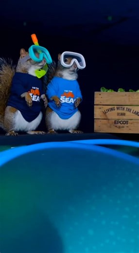 Feeding Manatees at The Seas with Nemo & Friends