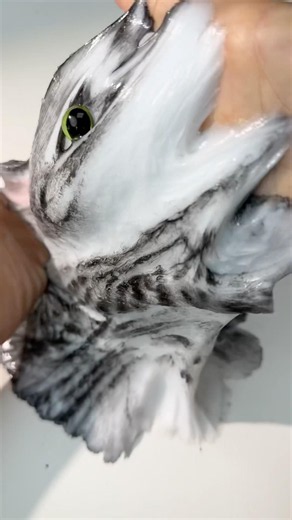 Catch a squeezable tabby kitten.#squishy #diy #cat #handmade #custom