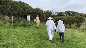 6.9K views · 30 reactions | There’s more to the Causeway than basalt columns, as we found out from Dr Cliff Henry - We’ve all heard of Finn Mccool, but Denis McNeill came face to face with 30,000 buzzing bees at the Causeway!  | Explore Causeway Coast And Glens | Facebook