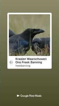 Kraaien Waarschuwen Ons Freek Banning