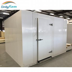 [Hot Item] Freezer Chamber Walk in Freezer Freezing Room for Sale