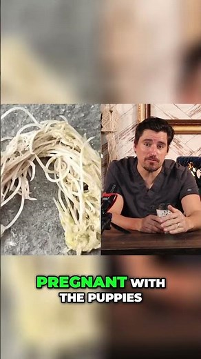 Puppy Roundworms: Mom's Sweetest Gift is a Parasite! #shorts