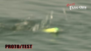 1.5K views · 115 reactions | DUO Fang Ops pro tester tests topwater prototypes | Fang Ops by DUO/Realis | Facebook