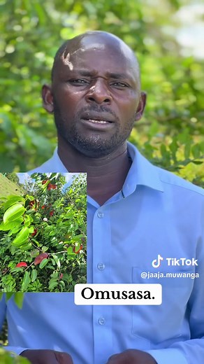 Jaaja Muwanga: The Heart of Omusasa