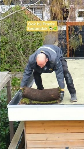 Wil jij je tuin ook verduurzamen zonder al te veel moeite? Dan is een sedumdak echt iets voor jou!