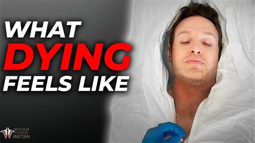 这就是你死后会发生的事