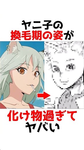 【ヤニねこ】換毛期に入ったヤニ子が化け物すぎるw #漫画 #アニメ #shorts