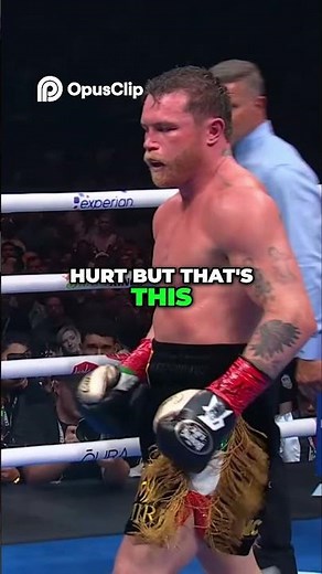 Canelo's BEST Moment! Boxing Highlights & Knockout Analysis