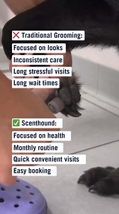 Get your pup on the path to wellness with a trial offer for only $39! We also provide a range of additional services, including haircuts and blow-drying, to keep your pup feeling their best. Plus, members get 25% off additional services. 📍Located in the Del Norte Shopping Center, near Von's and Kahoot's Pet Store! | Scenthound