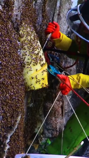 194K views · 1.1K reactions | Explore the Future of Engineering Witness groundbreaking innovations and cuttingedge technology in action | Mother's Story | Facebook