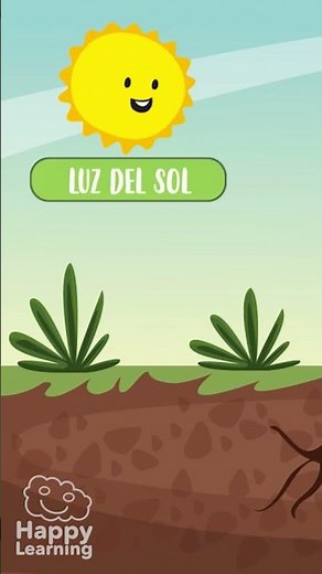 🌿 How do plants eat? | @HappyLearningES