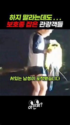 하지 말라는데도... 보호종 잡은 관광객들