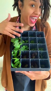 1.6K views · 36 reactions | ✨ Planting Seedlings in the Tower Garden✨ Aside from actual harvesting, this is probably my favorite part of the Tower Gardening process. #seedlings #towergardenseedlings #planting #towergardenofficial #towergarden #verticalgardening #verticalgarden #homegarden #sustainablegardening #urbangardening #growyourown #plantparent #healthyliving #gardengoals #aeroponics #aeroponicgardening #abundance | Tower Garden | Facebook